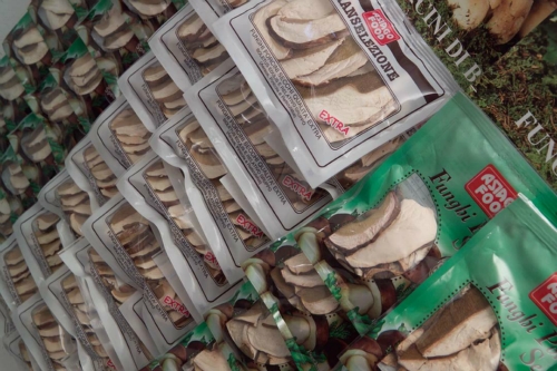 DRIED PORCINI MUSHROOMS